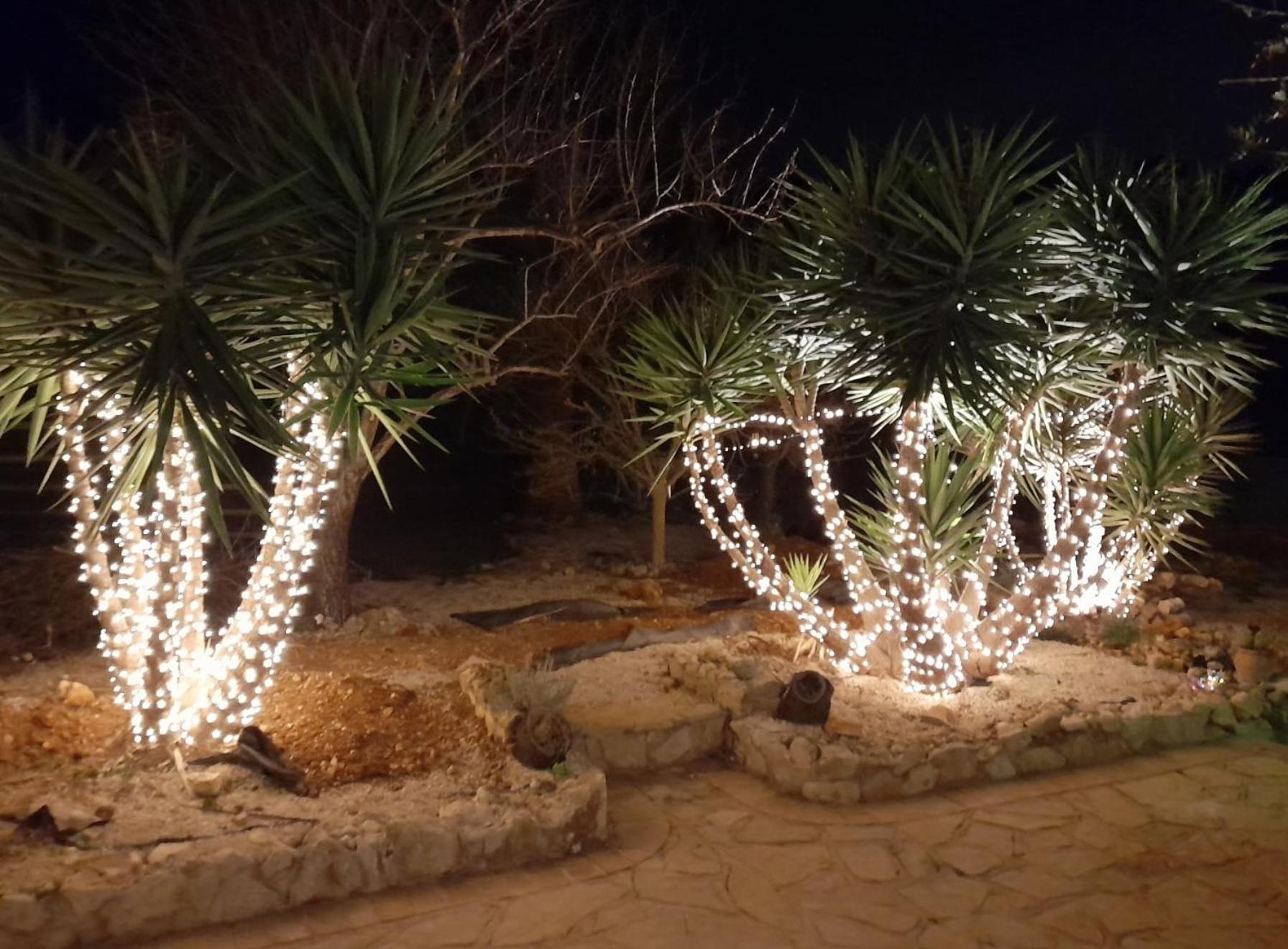 Villa Lobos Lliber Bagian luar foto